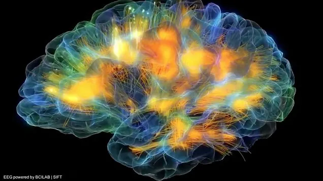 Why Are We In Pain – The origins of psychopathology