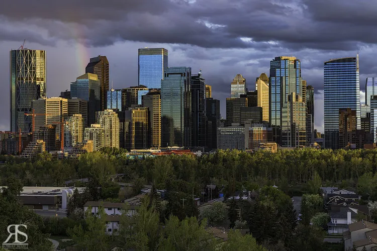 Weathering the Storm: How to handle job insecurity